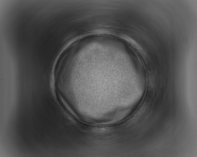 X0000100961286200807151350