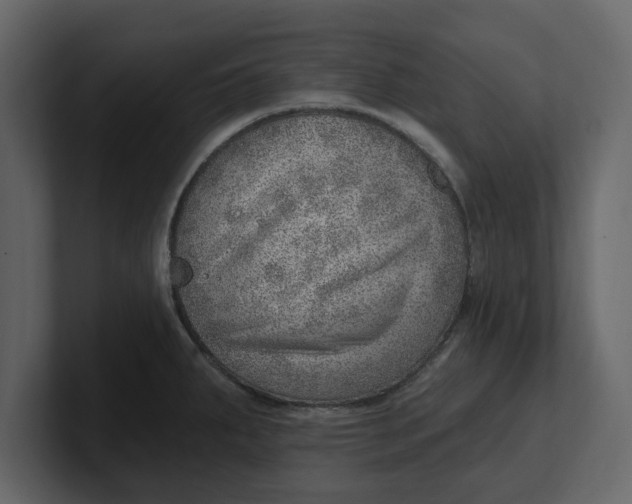 X0000100961287200807151350