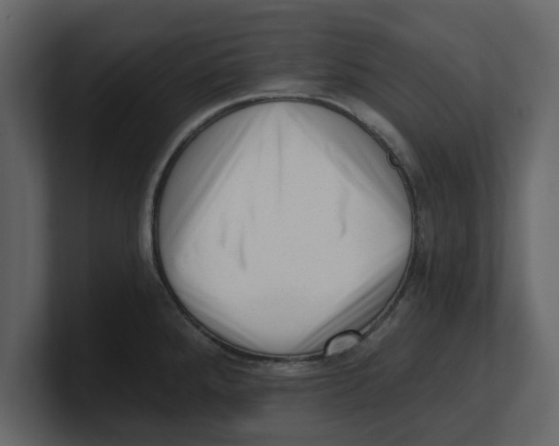 X0000100961288200807151350