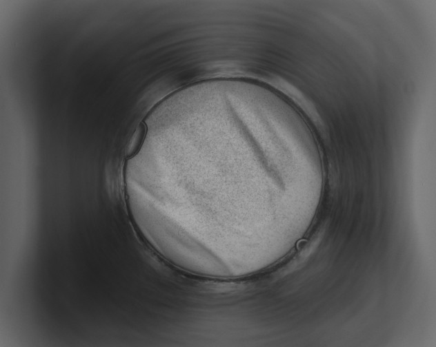 X0000100961289200807151350