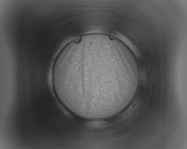 X0000100961290200807151350