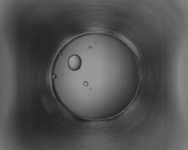 X0000100961291200807151350