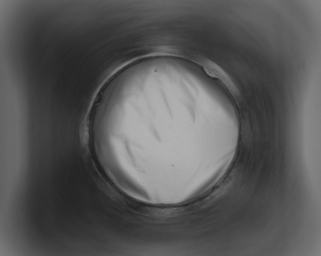 X0000100961292200807151350