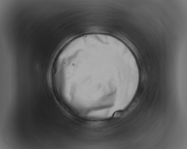 X0000100961293200807151350