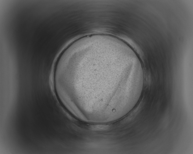 X0000100961294200807151350