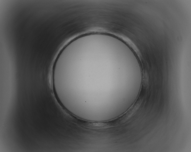 X0000100961295200807151350