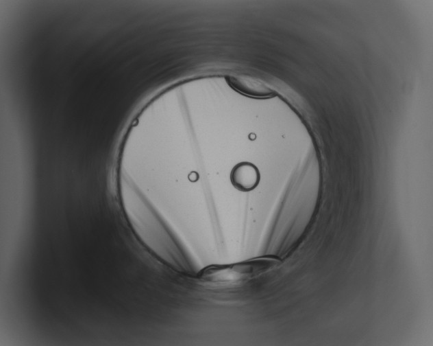 X0000100961296200807151350