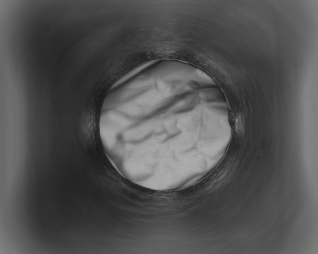 X0000100961299200807151349