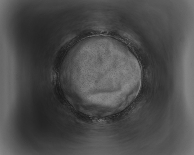 X0000100961302200807151349