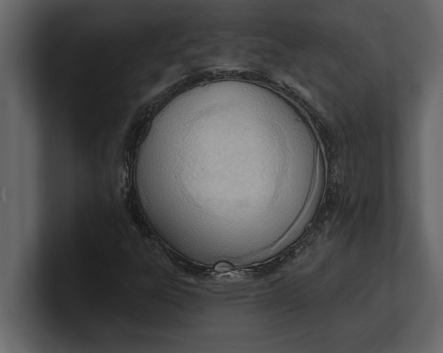 X0000100961303200807151349