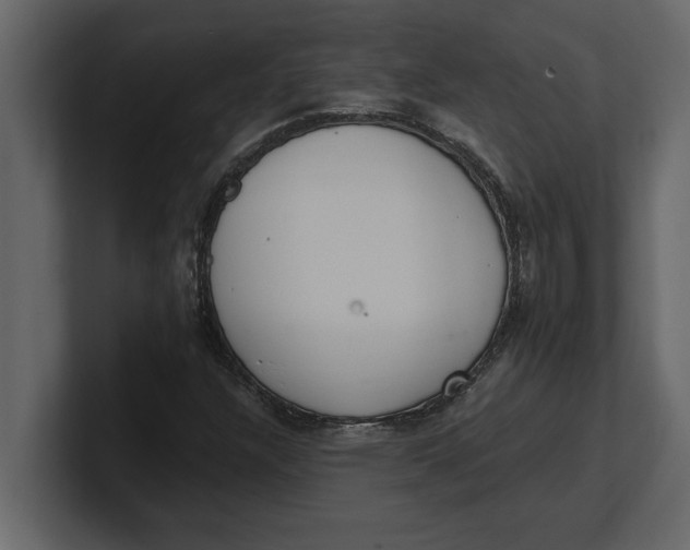 X0000100961304200807151349