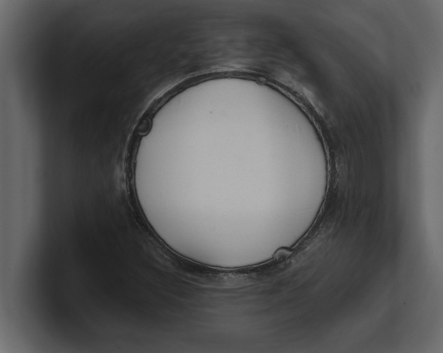 X0000100961308200807151349