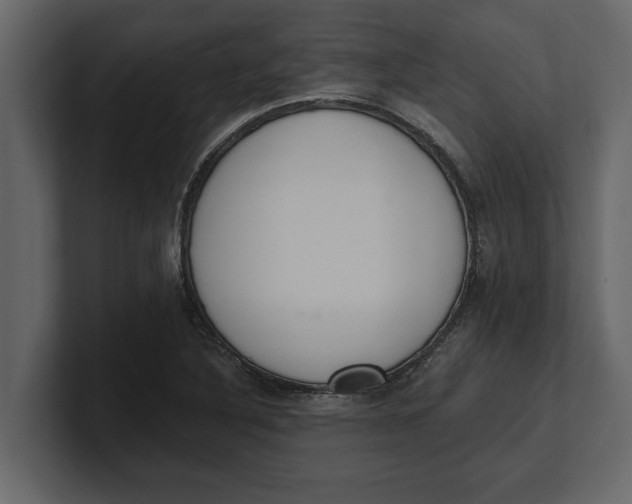 X0000100961316200807151350