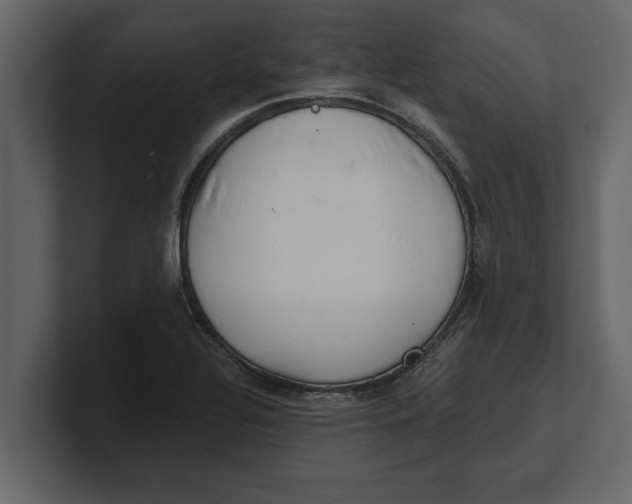 X0000100961320200807151350