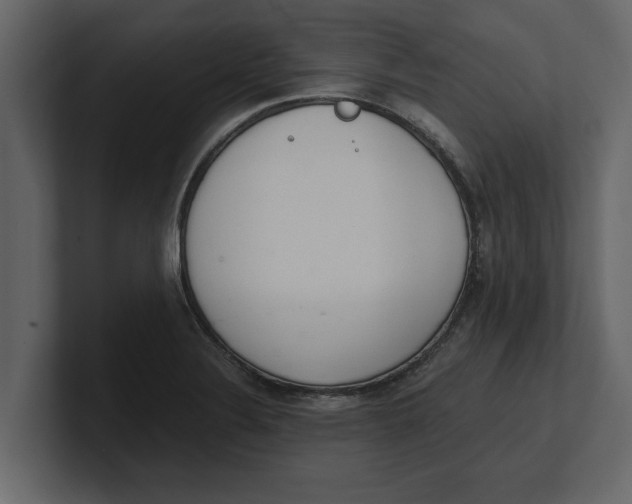 X0000100961324200807151350