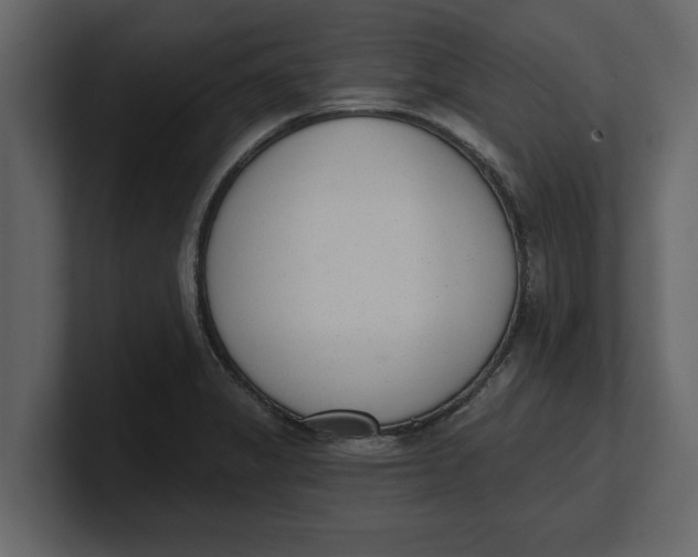 X0000100961325200807151350