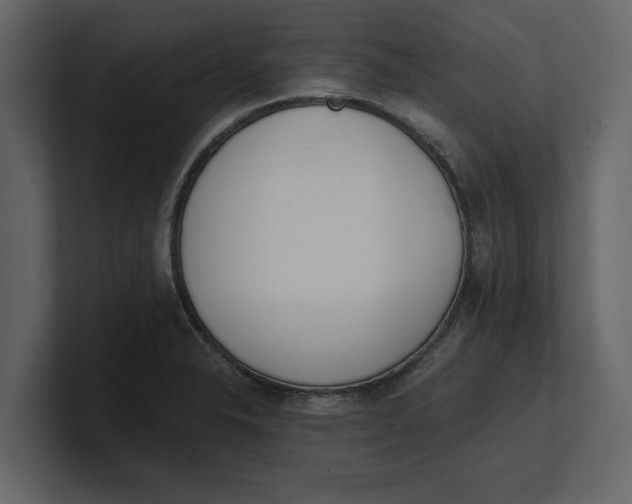 X0000100961326200807151350