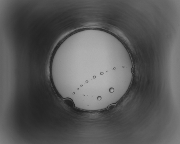 X0000100961328200807151350