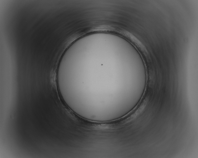 X0000100961329200807151350