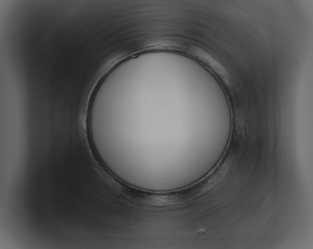 X0000100961330200807151350