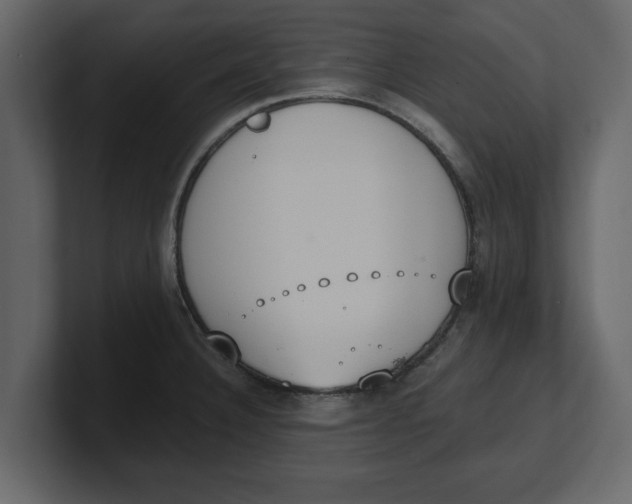 X0000100961332200807151350