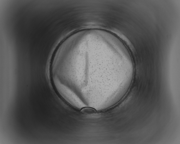 X0000100961333200807151350