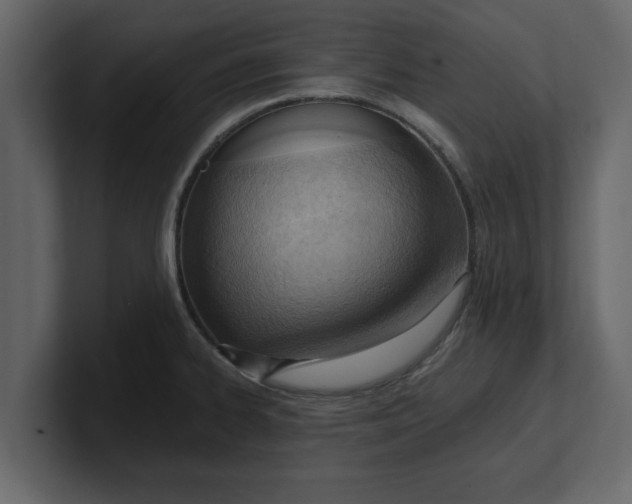 X0000100961334200807151350