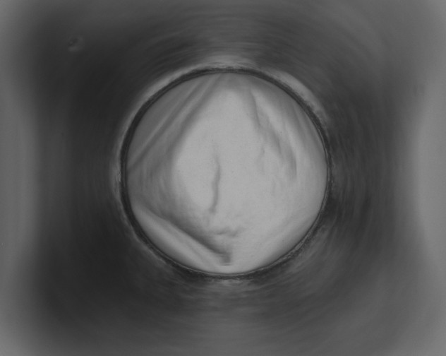 X0000100961335200807151350