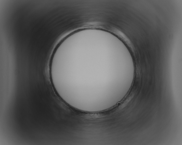 X0000100961336200807151350