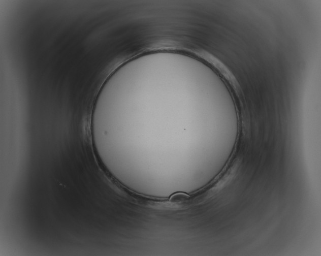 X0000100961337200807151350