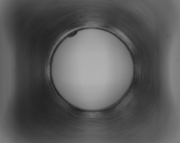 X0000100961340200807151350