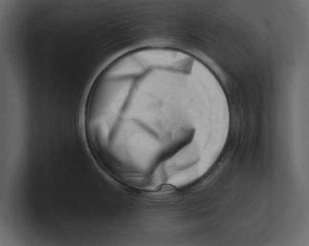 X0000100961343200807151350