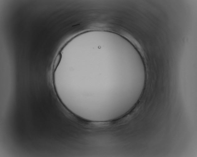 X0000100961344200807151350