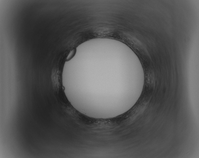 X0000100961346200807151349