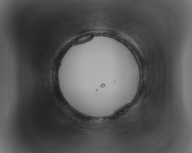 X0000100961352200807151349