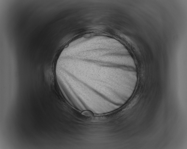 X0000100961354200807151349