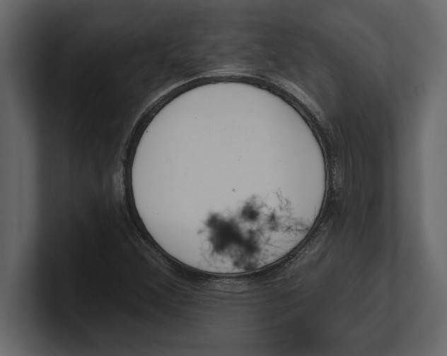 X0000100961356200807151349