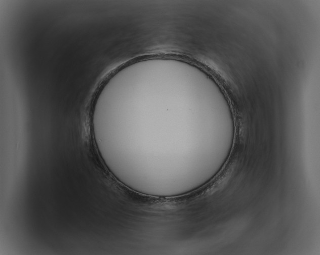 X0000100961358200807151349