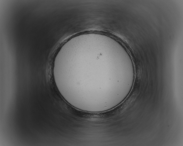 X0000100961359200807151349