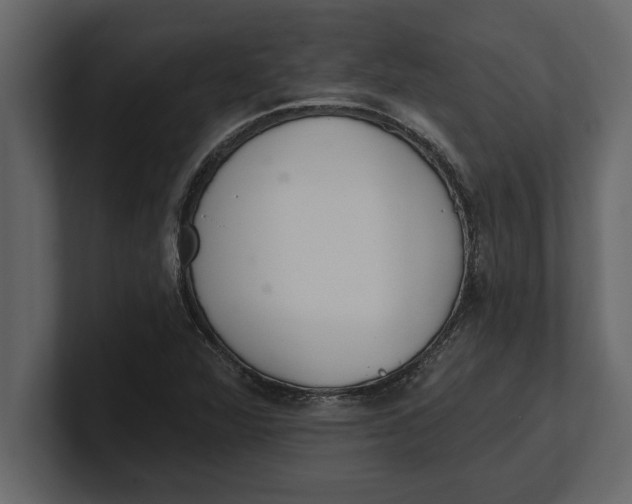 X0000100961360200807151349