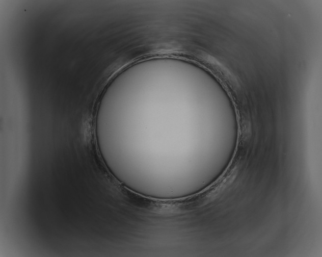 X0000100961361200807151349