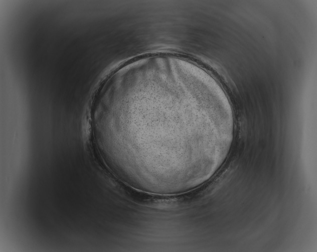 X0000100961363200807151349