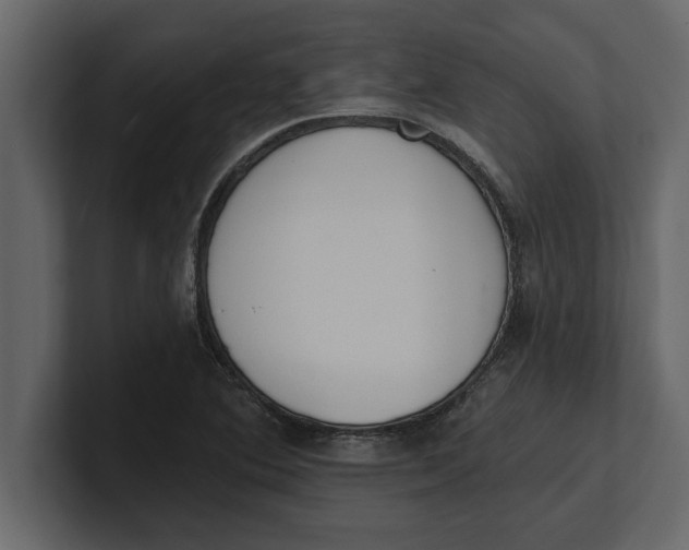 X0000100961364200807151349