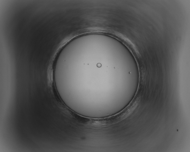 X0000100961365200807151349