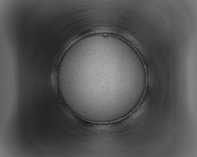 X0000100961369200807151349