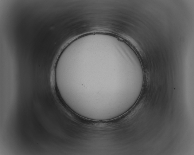 X0000100961371200807151349