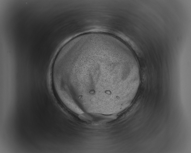 X0000100961375200807151349