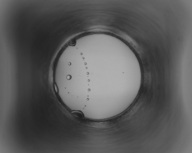 X0000100961376200807151349