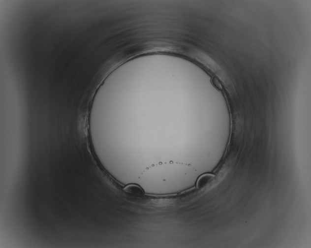 X0000100961377200807151349