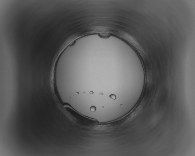 X0000100961378200807151349